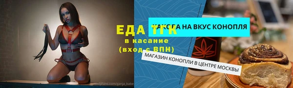 шишки Богородицк